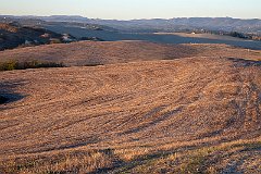 Terre Senesi